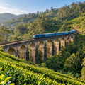Ella by Train Private Tour (2 Days)