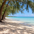 Jaffna & the North Private Tour (3 to 4 Days)