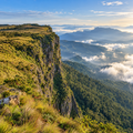 Nuwara Eliya & Horton Plains Private Tour (2 to 3 Days)