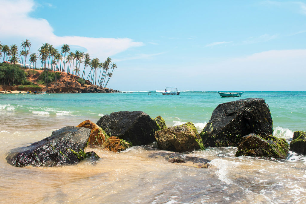 Galle & South Coast Private Tour (2 to 4 Days)