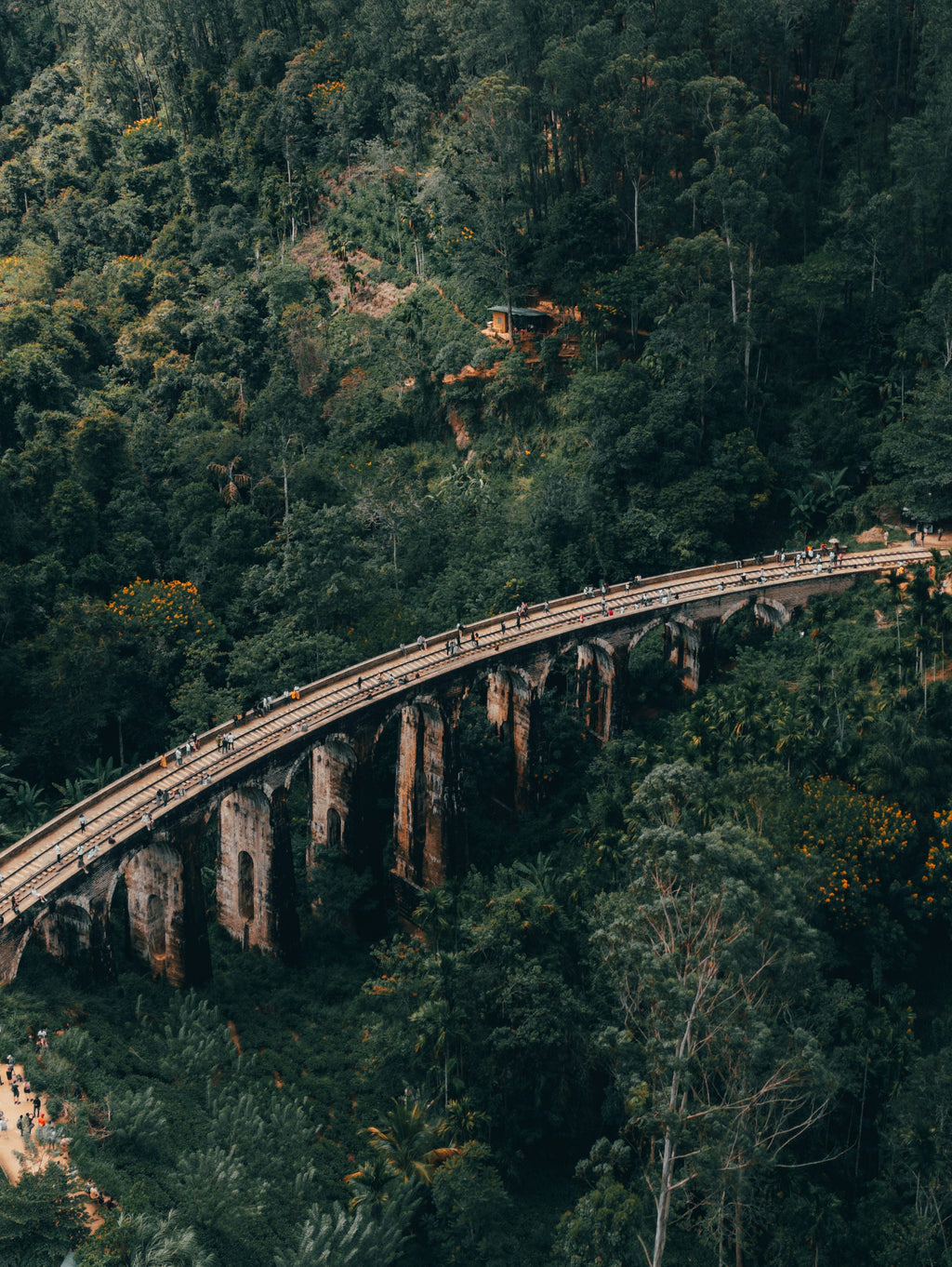 Ella by Train Private Tour (2 Days)